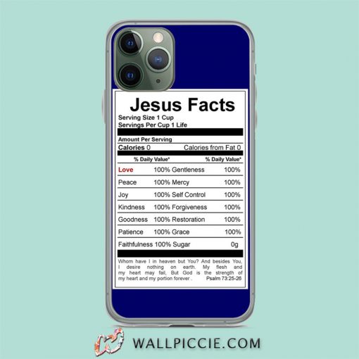 Jesus Facts iPhone 11 Case