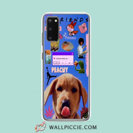 Cool Friends Peachy Collage Samsung Galaxy S20 Case